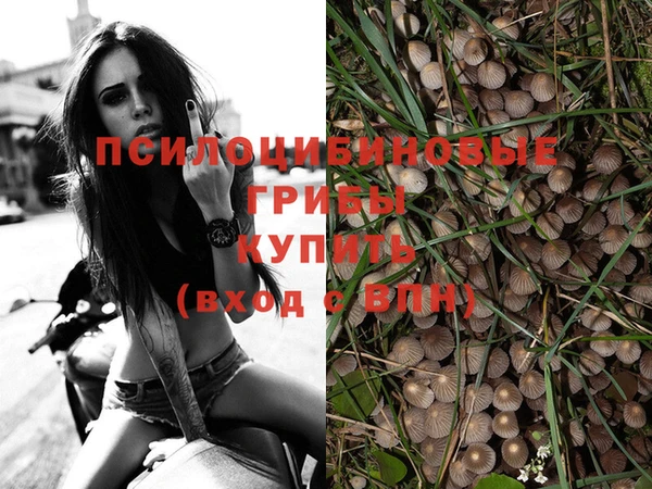 кокс Армянск