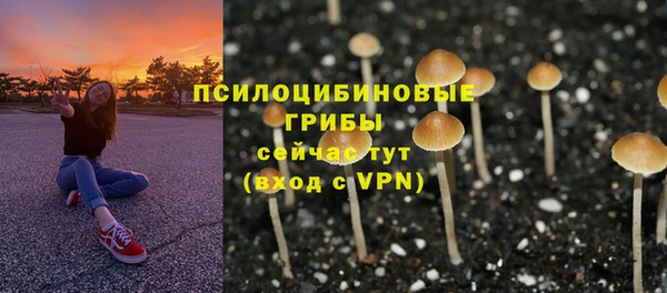 марки nbome Алзамай