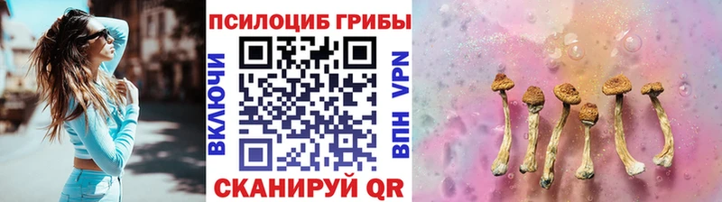 купить наркотики цена  Коломна  площадка состав  Псилоцибиновые грибы MAGIC MUSHROOMS 