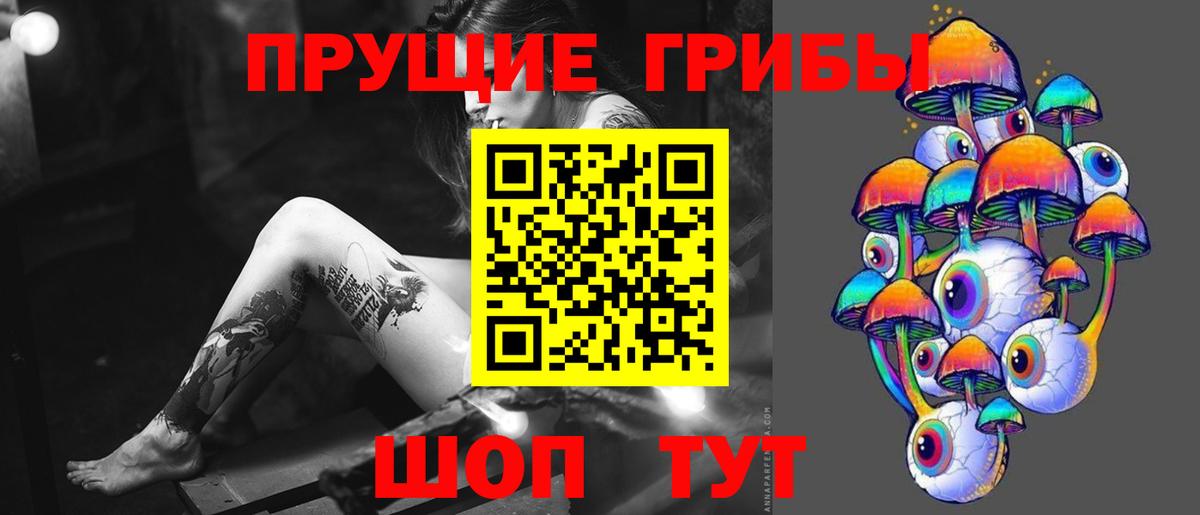 Псилоцибиновые грибы Psilocybe  Вход с VPN  Коломна 